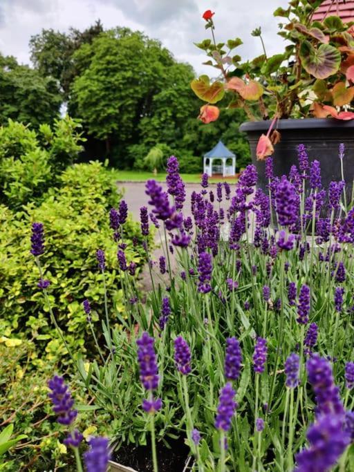 Villa The Nook Located In A Beautiful Garden Setting With Parking Stratford-upon-Avon Exterior foto